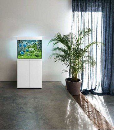 Juwel Lido 120 Aquarium with Cabinet