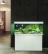 Juwel Rio 240 Aquarium with Cabinet