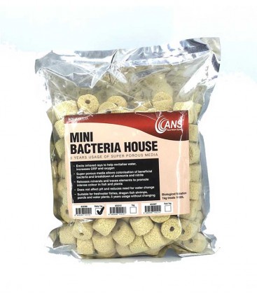 ANS Mini Bacteria House 1kg 2.5cm