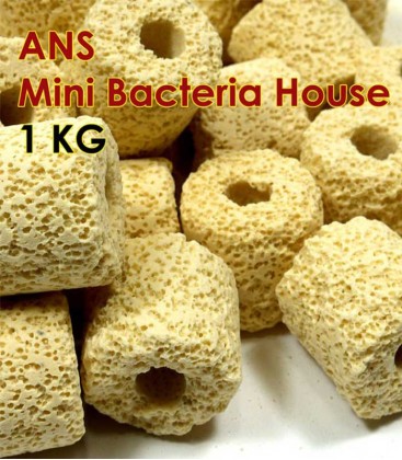 ANS Mini Bacteria House 1kg 2.5cm