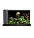 Fluval Spec V Desktop Aquarium Kit - Black