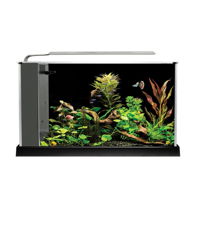 Fluval Spec V 19L Desktop Aquarium Compact Glass Tank