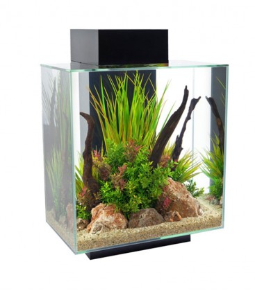 Fluval Edge 6-sided Aquarium Kit 46L - Black