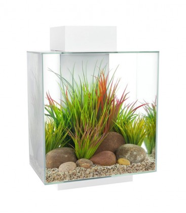 Fluval Edge 6-sided Aquarium Kit 46L - White