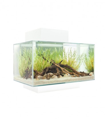 Fluval Edge Cube Aquarium Kit 23L 6gal - White