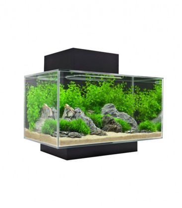 Fluval Edge Cube Aquarium Kit 23L 6gal - Black