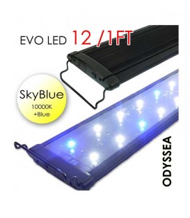 Odyssea EVO LED 12" 1ft 18W - Skyblue 10000K & Actinic Blue