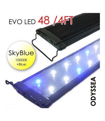 Odyssea EVO LED 48" 4ft 96W - Skyblue 10000K & Actinic Blue