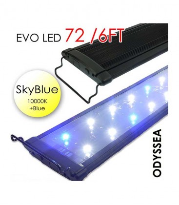 Odyssea EVO LED 72" 6ft 156W - Skyblue 10000K & Actinic Blue