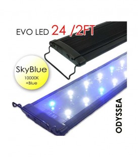 Odyssea EVO LED 24" 2ft 48W - Skyblue 10000K & Actinic Blue