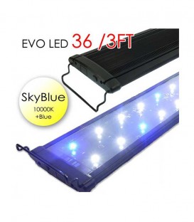 Odyssea EVO LED 36" 3ft 72W - Skyblue 10000K & Actinic Blue