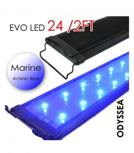 Odyssea EVO All-Blue Marine LED Lighting - 24" 2ft