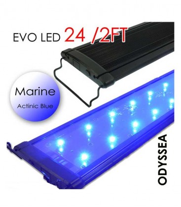 Odyssea EVO All-Blue Marine LED Lighting - 24" 2ft