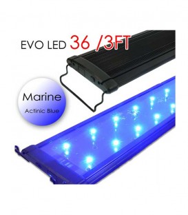 Odyssea EVO All-Blue Marine LED Lighting - 36" 3ft