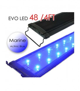 Odyssea EVO All-Blue Marine LED Lighting - 48" 4ft