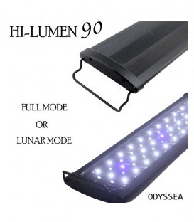 Odyssea Beamworks Hi-Lumen 90 LED Lighting