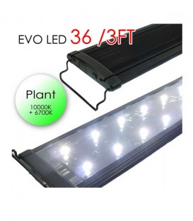 Odyssea EVO LED Lighting 36" 3ft 72W - Plant 10000K 6700K lighting