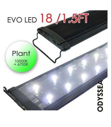 Odyssea EVO LED Lighting 18" 1.5ft 27W - Plant 10000K 6700K lighting