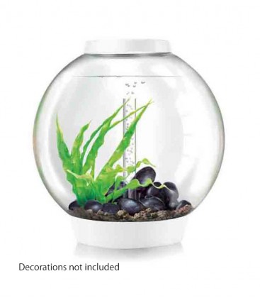 biOrb Classic 60 LED Spherical Aquarium (White)