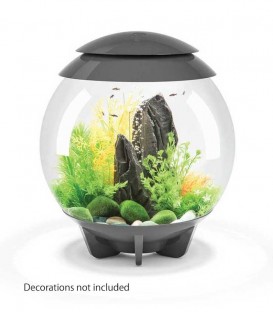 biOrb Halo 30 MCR Spherical Aquarium (Grey)