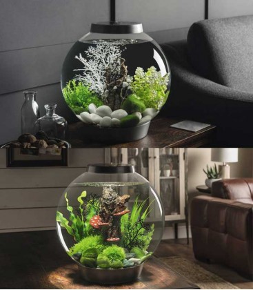 biOrb Classic Spherical Aquarium