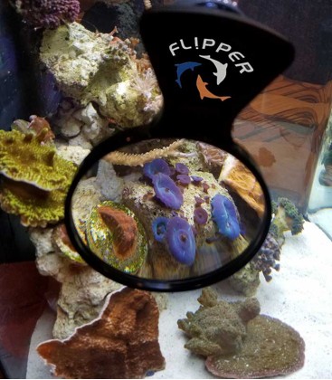 Flipper Deepsee Aquarium Magnifying Glass 