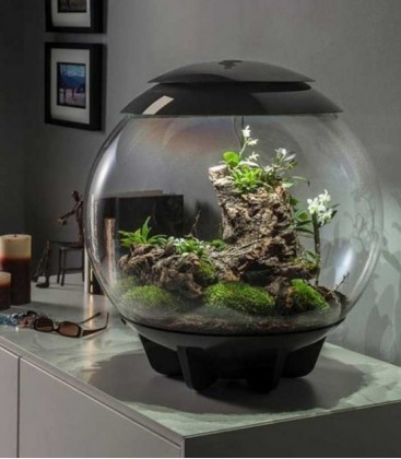 biOrb Air 60 Grey Terrarium