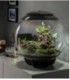 biOrb Air 60 Grey Terrarium