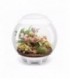 biOrb Air 60 White Terrarium