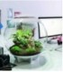 biOrb Air 60 White Terrarium