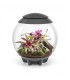 biOrb Air 60 Grey Terrarium