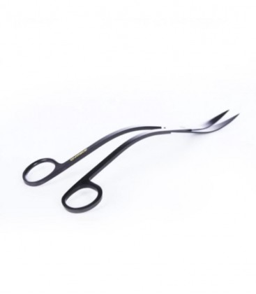 Dymax Stainless Steel Scissor (Double Curved) - DM604