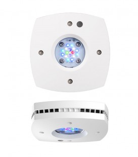 AI Prime 16HD Marine Reef Lighting (White)