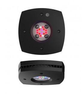 AI Prime 16HD Marine Reef Lighting (Black)