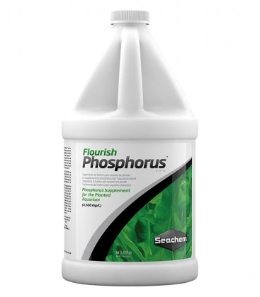 Seachem Flourish Phosphorus 2L (SC-198) - Aquatic Plant Supplement
