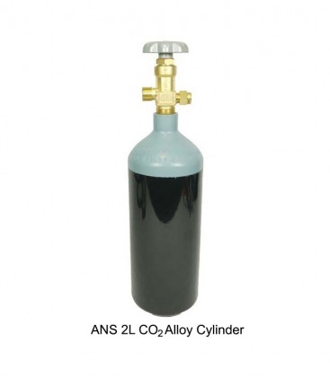 ANS 2L Professional CO2 System