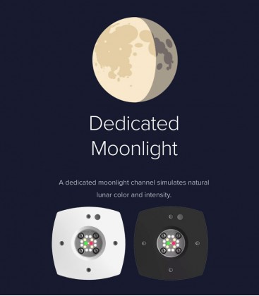 AI Prime Freshwater LED Lighting (Dedicated Moonlight)