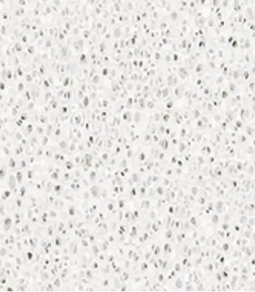 N30 Premium Bio Block (N0039) - Aquarium filter media