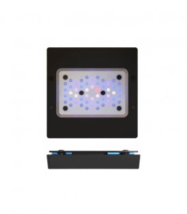 EcoTech Radion XR15w G6 Blue - marine coral LED light