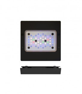 EcoTech Radion XR15w G6 Pro - Marine Lighting, Reef LED Lamp