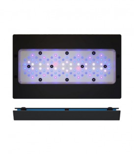 EcoTech Radion XR30w G6 Blue - Marine Reef Aquarium LED Light 