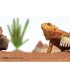 REPTIZOO Desert Calcium Sand Desert Orange 1.8kg (TS04)