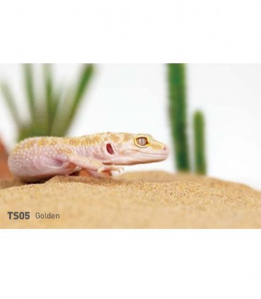 REPTIZOO Desert Calcium Sand Golden 1.8kg (TS05)