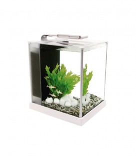 Fluval Spec III White 10L Glass Aquarium (10517) compact desktop fish tank