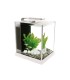 Fluval Spec III White 10L Glass Aquarium (10517) compact desktop fish tank