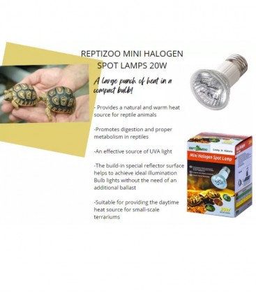 REPTIZOO Mini Halogen Spot Lamps 20W (HL002) Terrarium Reptile Lighting