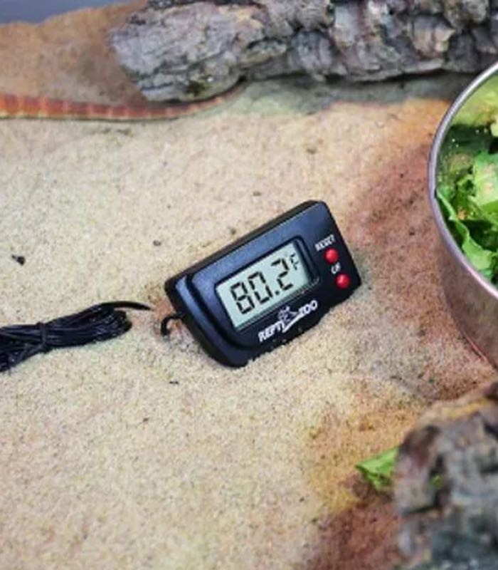 Thermomètre hygromètre digital ReptiZoo pour terrarium