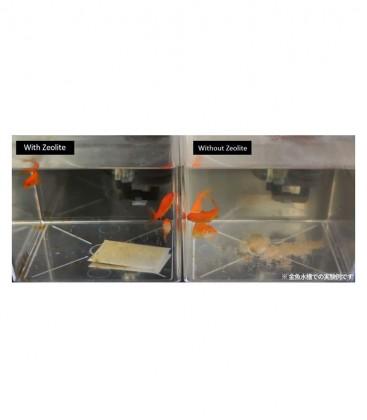 JPD Live Bacteria Zeolite (For Goldfish Tank) : 15g (JPD44106) & 60g (JPD44113)