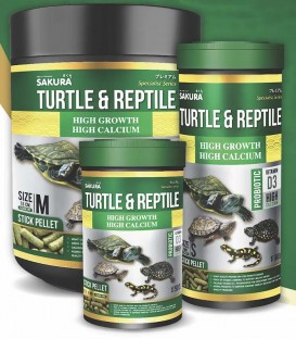 Sakura Turtle Reptile (Specialist Series) 80g S (PCN03506)