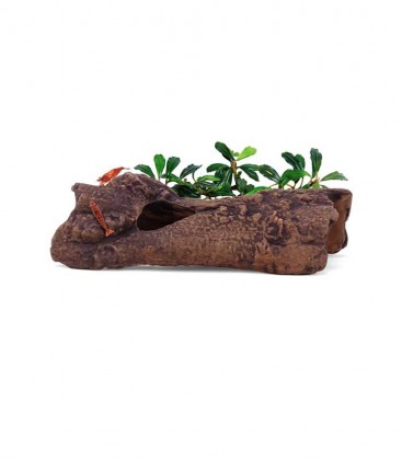 Aquavitro Ceramic Hide L1 (SC-7091)